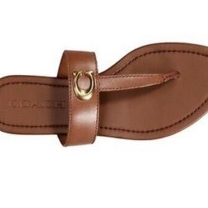 COACH Women's Jessie Buckle Thong Sandals